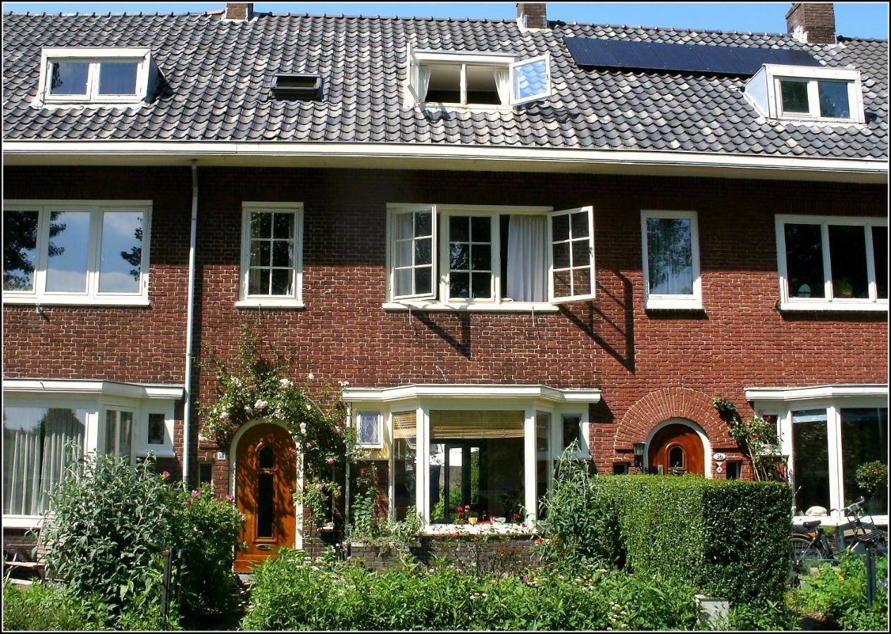 هارلم Bed & Breakfast Tegenover De Molen المظهر الخارجي الصورة